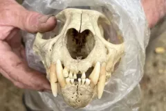 Mit-dem-Packraft-durch-Patagonien13