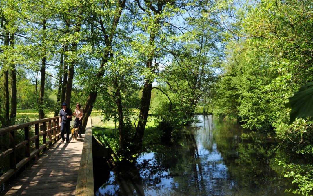 Naturpark Schwalm-Nette 