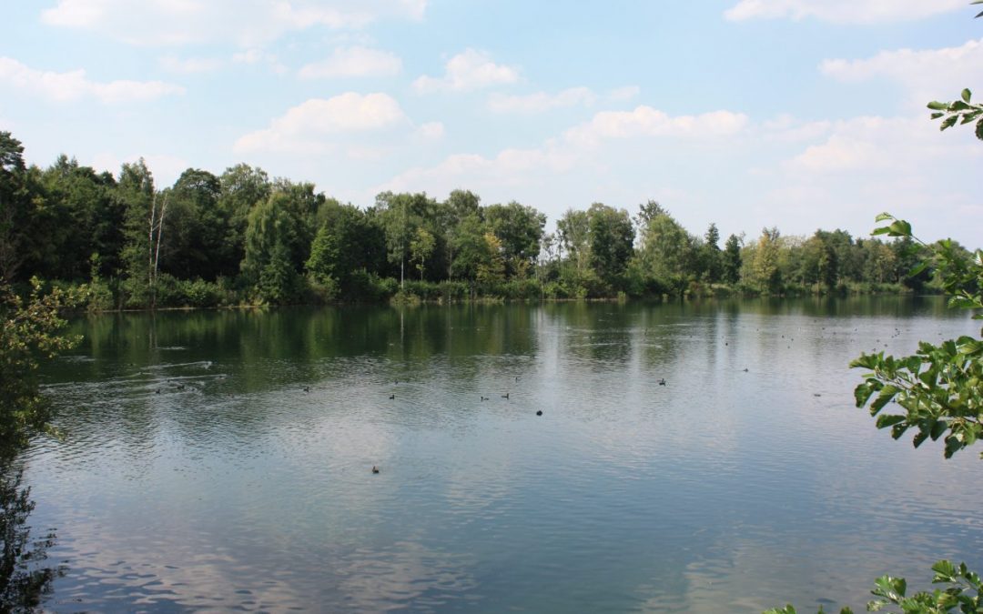 Naturpark Hohe Mark