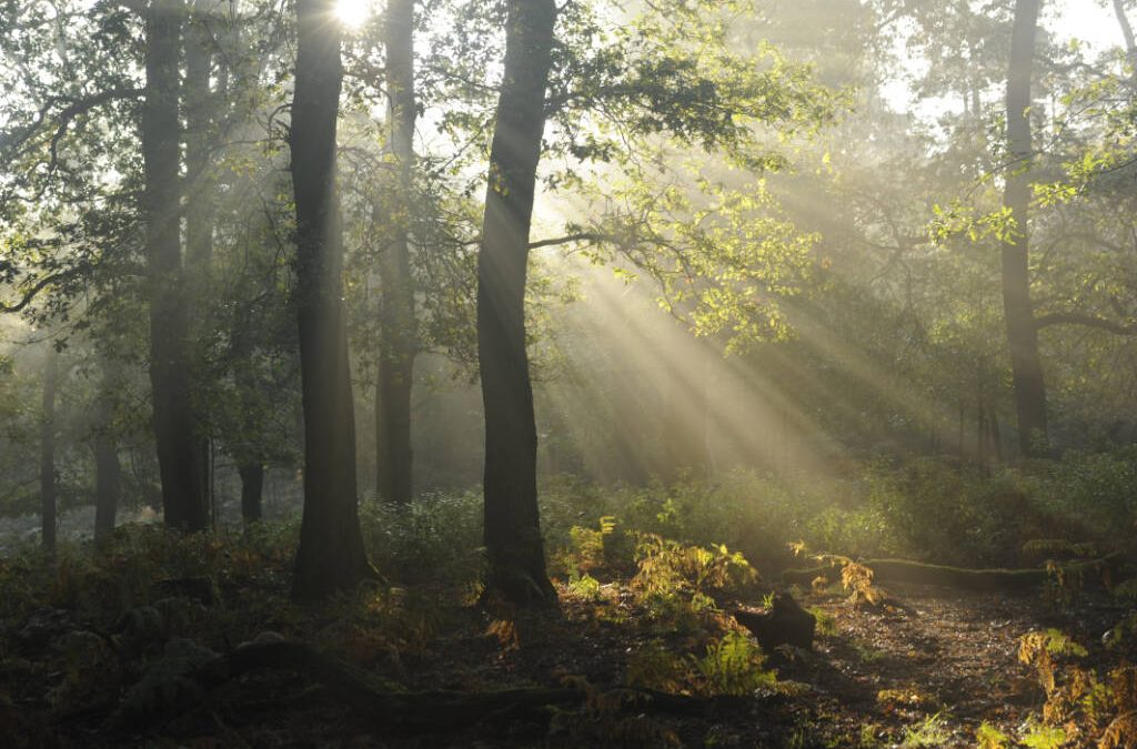 Natur Highlights am Niederrhein