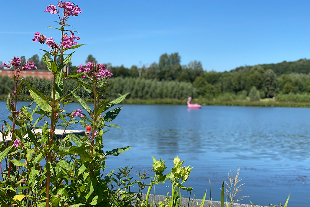 20. und 21. Juli 2025 – Schiedersee