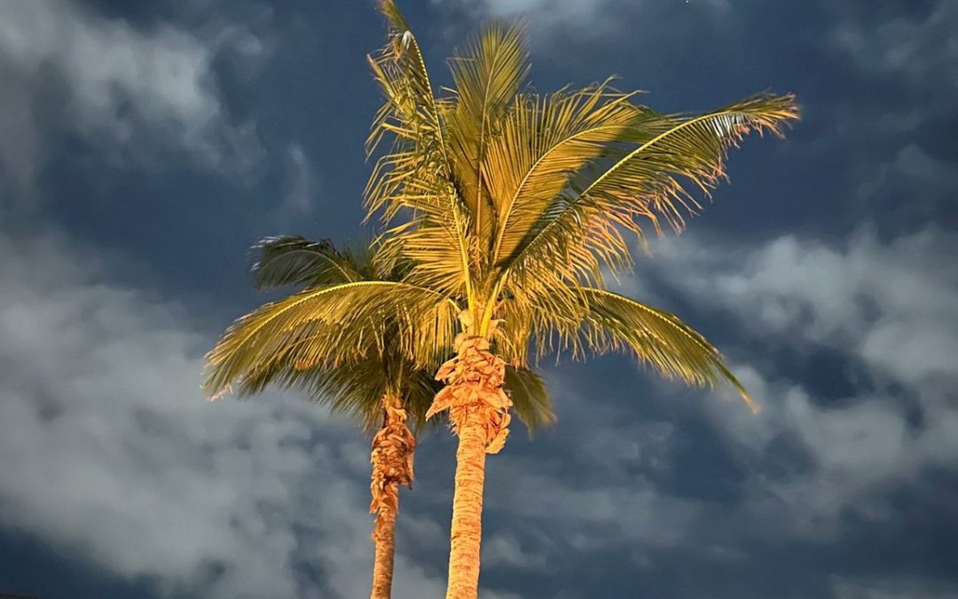 Reiseabenteuer nach Florida