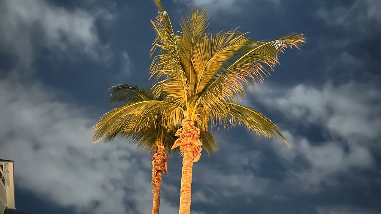 Reiseabenteuer nach Florida