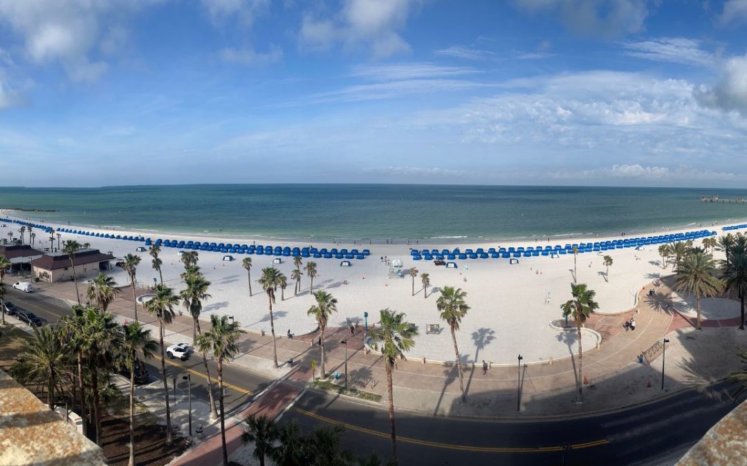 Zwischen Sandstrand und Palmen